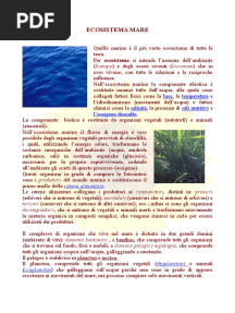 Ecosistema Mare