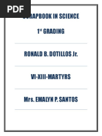 PDF Document