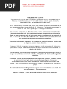 Actividad de Trabajo en Equipo Vuelo de Los Gansos Johnlit Parra