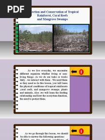 Science 6 - Q2 - L9 - Protection and Conservation of Tropical Rainforest, Coral Reefs