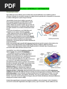 Zoologia Intro