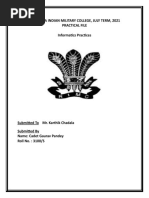 PDF Document