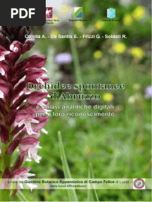Orchidee Spontanee D'abruzzo
