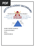 PDF Document