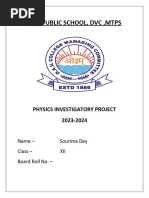 PDF Document