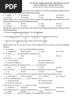 PDF Document