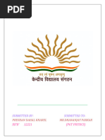 PDF Document