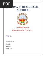 PDF Document