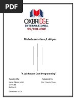 PDF Document