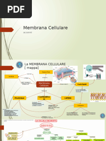 04a - La Membrana Cellulare