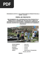 PDF Documento