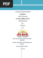 PDF Document