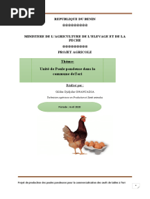 Pondeuse Projet