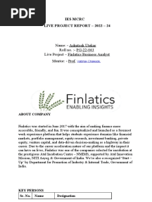 Finlatics Business Analyst Report