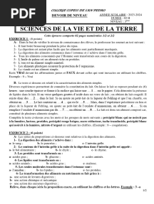 Devoir de Niveau N°3 Aliments