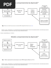 Modelo Comportamental Da Depressão (Hemanny Et Al, 2023)