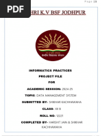 PDF Document