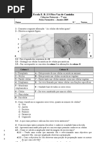 Ficha Formativa 1 - 7 Ano - Organização Dos Seres Vivos Na Biosfera