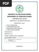 PDF Document