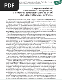 Il Pagamento Dei Debiti Delle Amm Pubb
