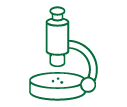 Life Sciences