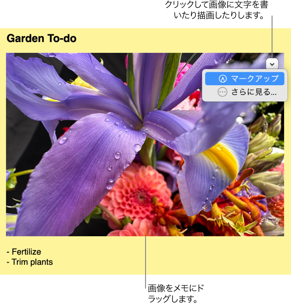 開いているスティッキーメモ。画像が含まれています。