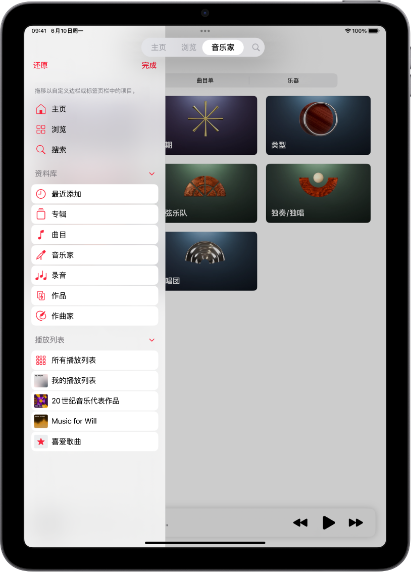 处于竖排模式的 iPad，屏幕左侧显示用于编辑边栏的选项，顶部显示标签页栏。