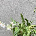 IMG_3208