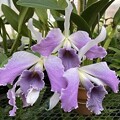 IMG_3280