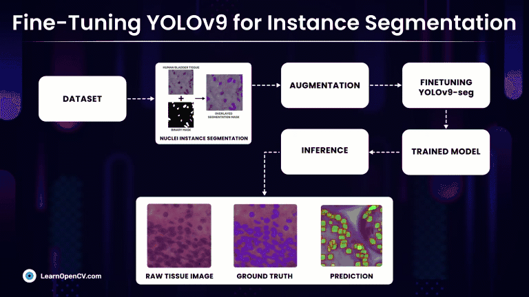 Fine Tuning YOLOv9 Instance Segmentation