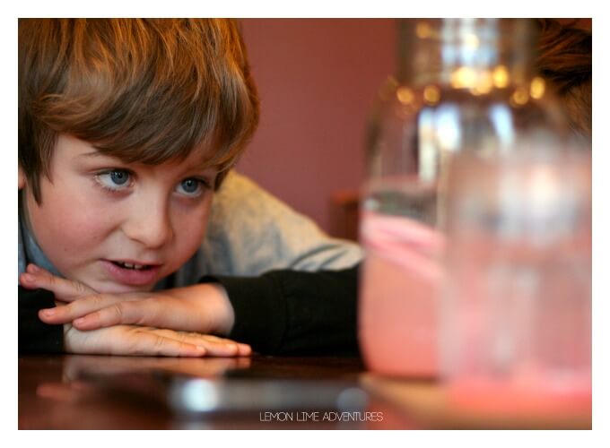 Observing Candy Cane Science Experiment