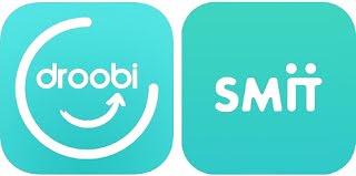 DroobiSmit Logo