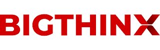 Bigthinx