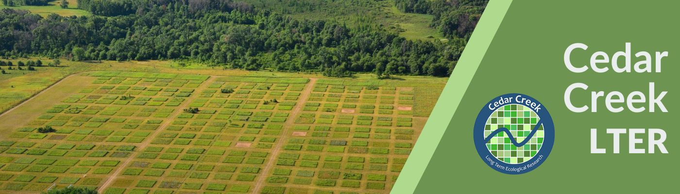 Cedar Creek LTER