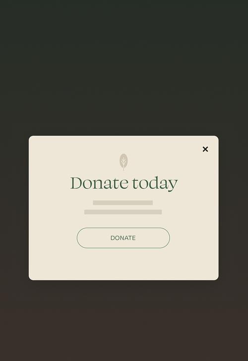 Donation pop-up window with message ‘Donate today’ and a centered donate button on a neutral background.