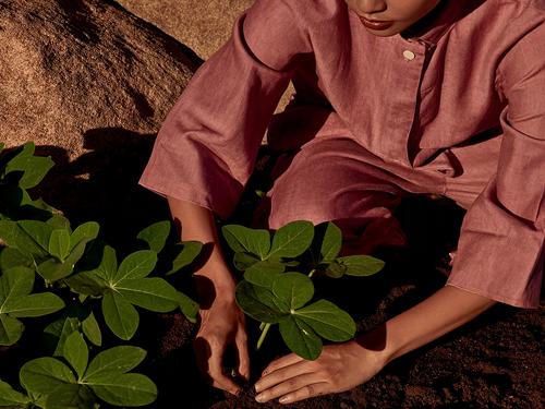 A close-up of a person in a pink/red shirt planting a small green plant in dark soil next to a large rock.