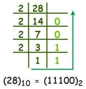 Convert (28) into a binary number.