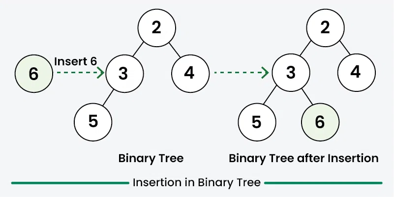 Insertion-in-Binary-Tree