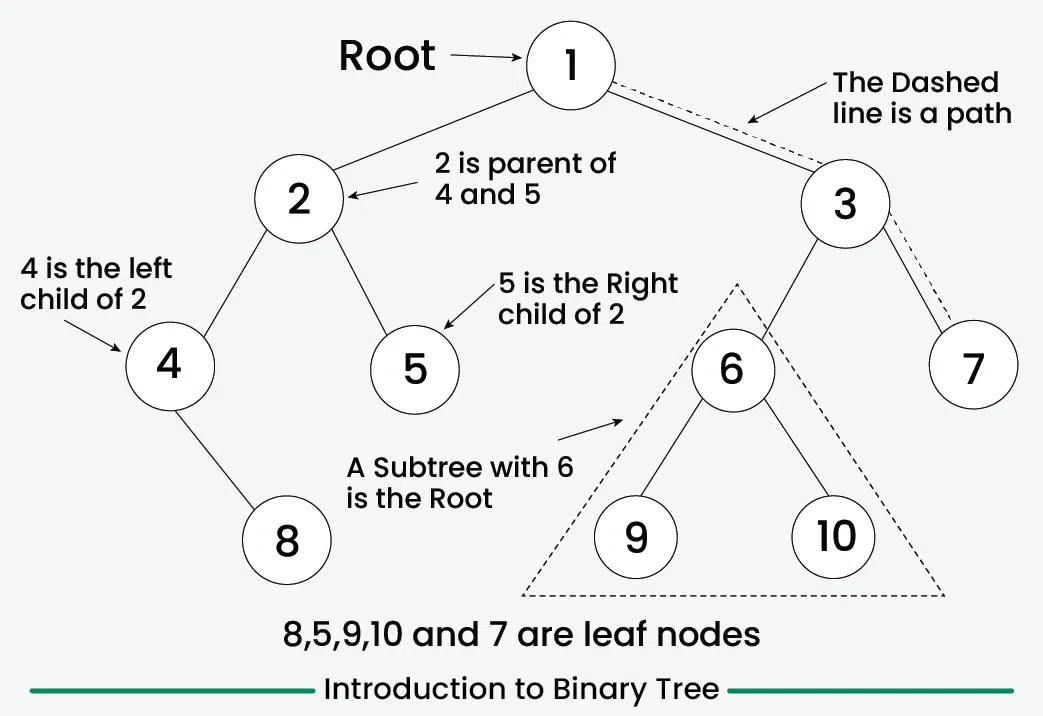 Introduction-to-Binary-Tree