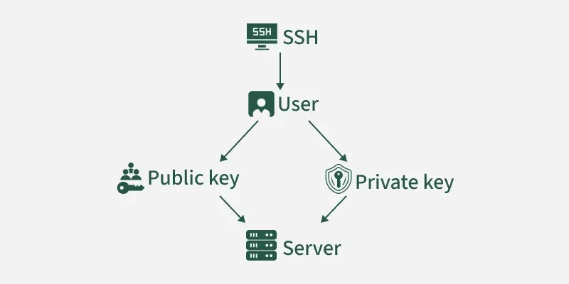public_key