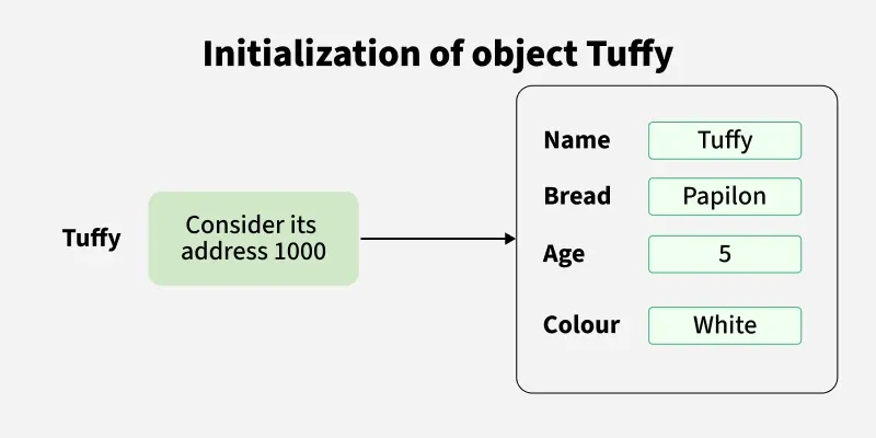 initialization_of_object_tuffy