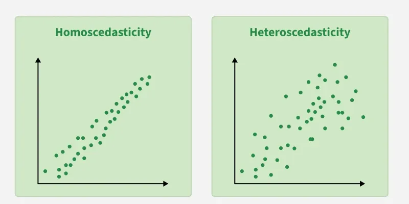 homoscedasticity