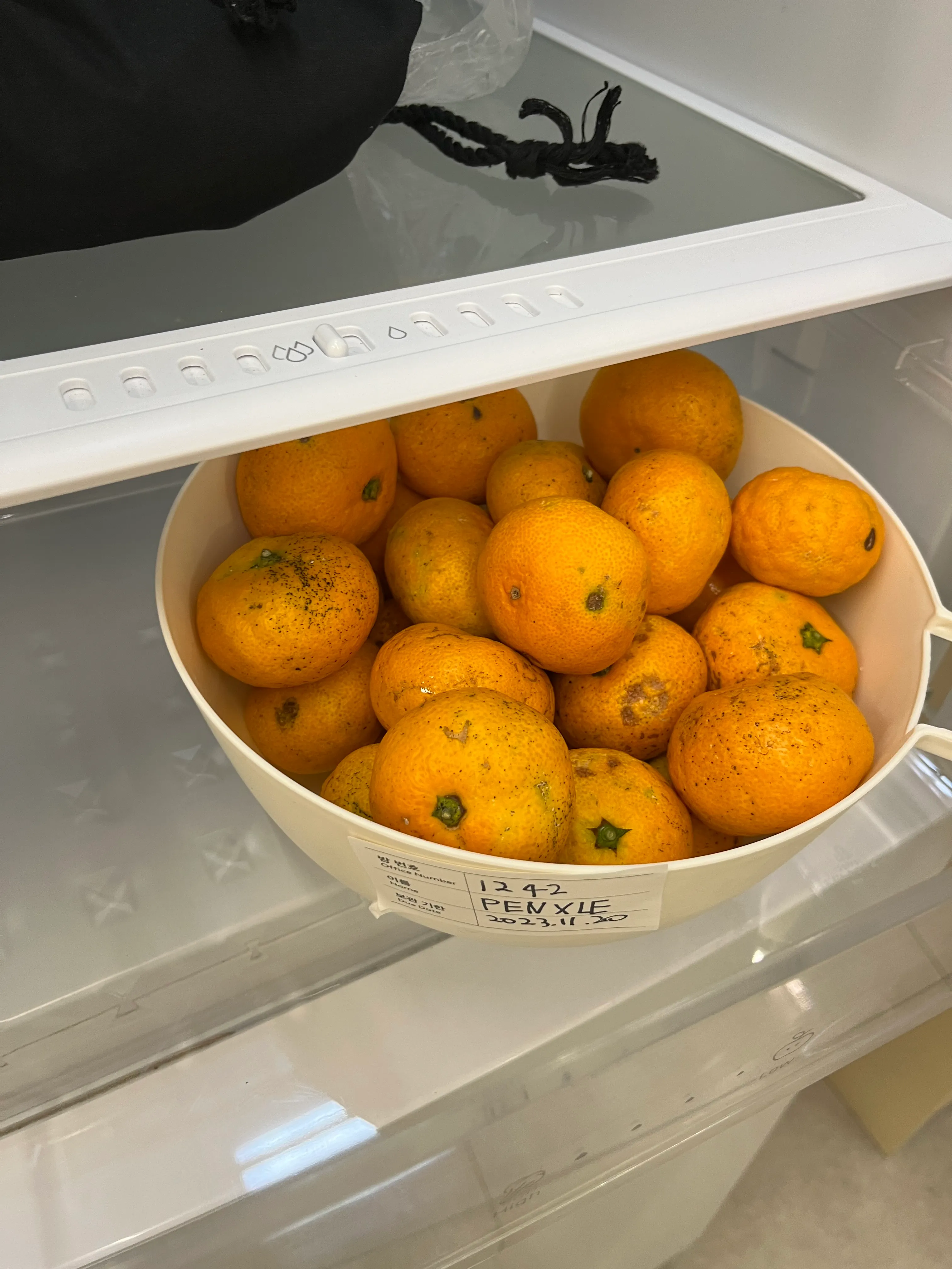냉장고 속 흰 통에 담긴 감귤들. 표면에 약간의 흙 자국이 남아 있고, 라벨에는 ‘PENXLE’이라고 적혀 있다.