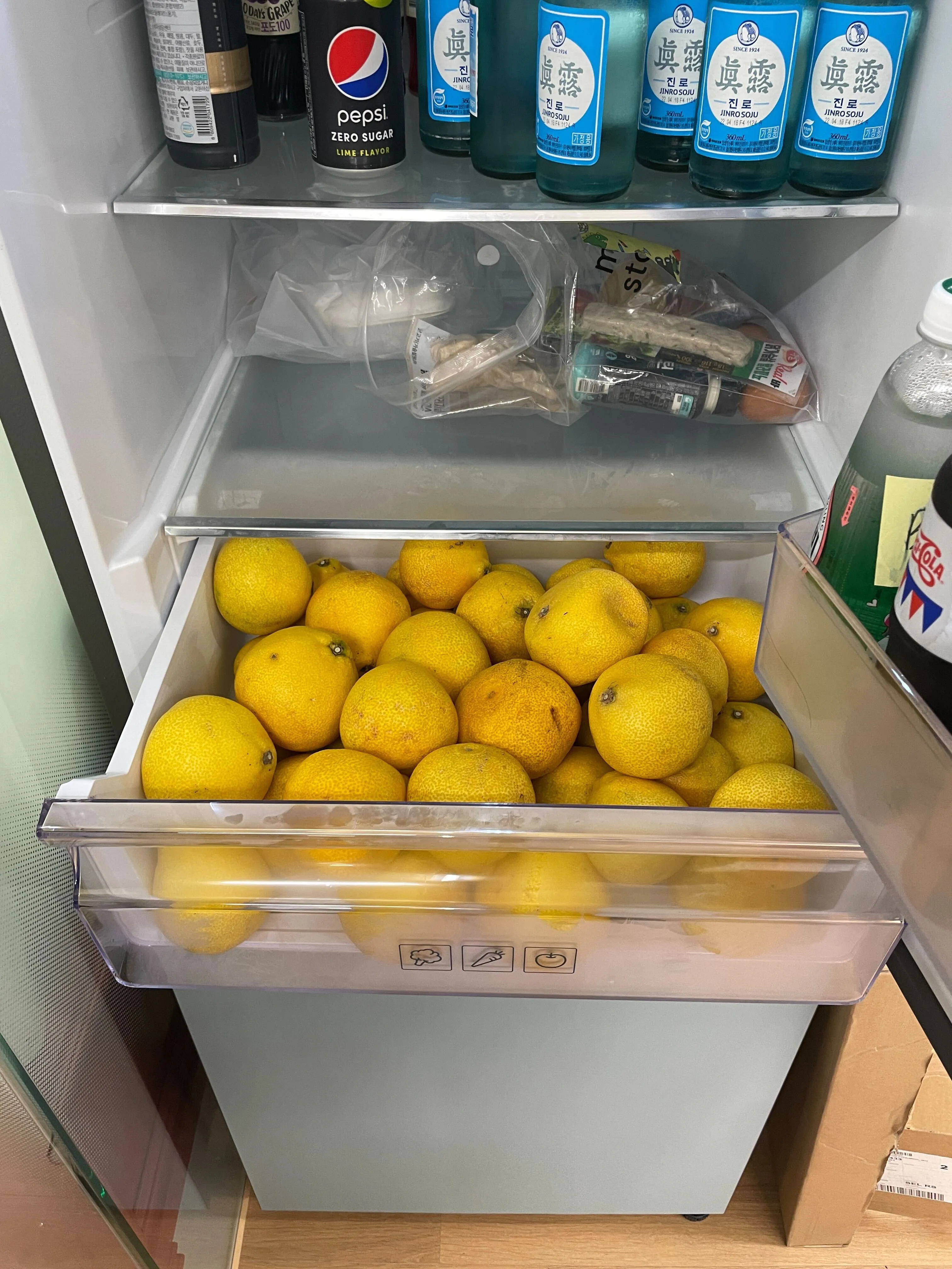 냉장고 채소 칸을 가득 채운 커다란 황금빛 감귤들. 위 칸에는 음료와 소주병들이 줄지어 있다.