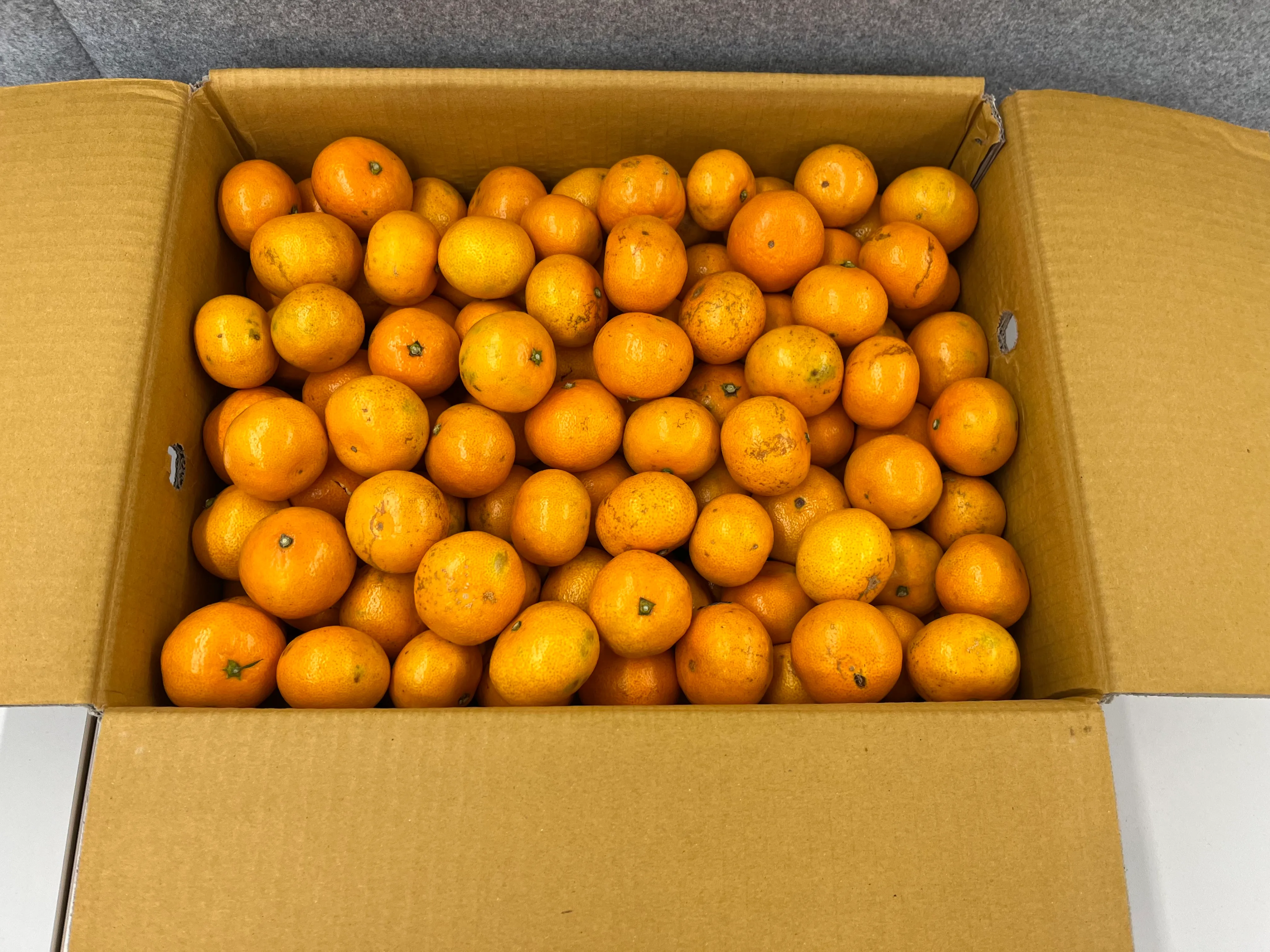 골고루 익은 주황빛 감귤이 박스 가득 쌓여 있다. 제주 감귤 특유의 윤기가 돌며 탐스럽다.
