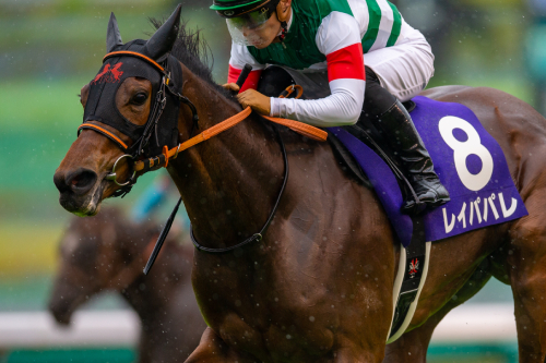 「西高東低の法則」で万馬券を当てまくる謎のプロ集団に取材! JRA大阪杯(G1)の極秘予想も特別公開!の画像1