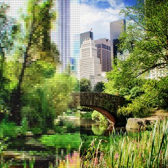 This AI Warps Live Video in Real Time