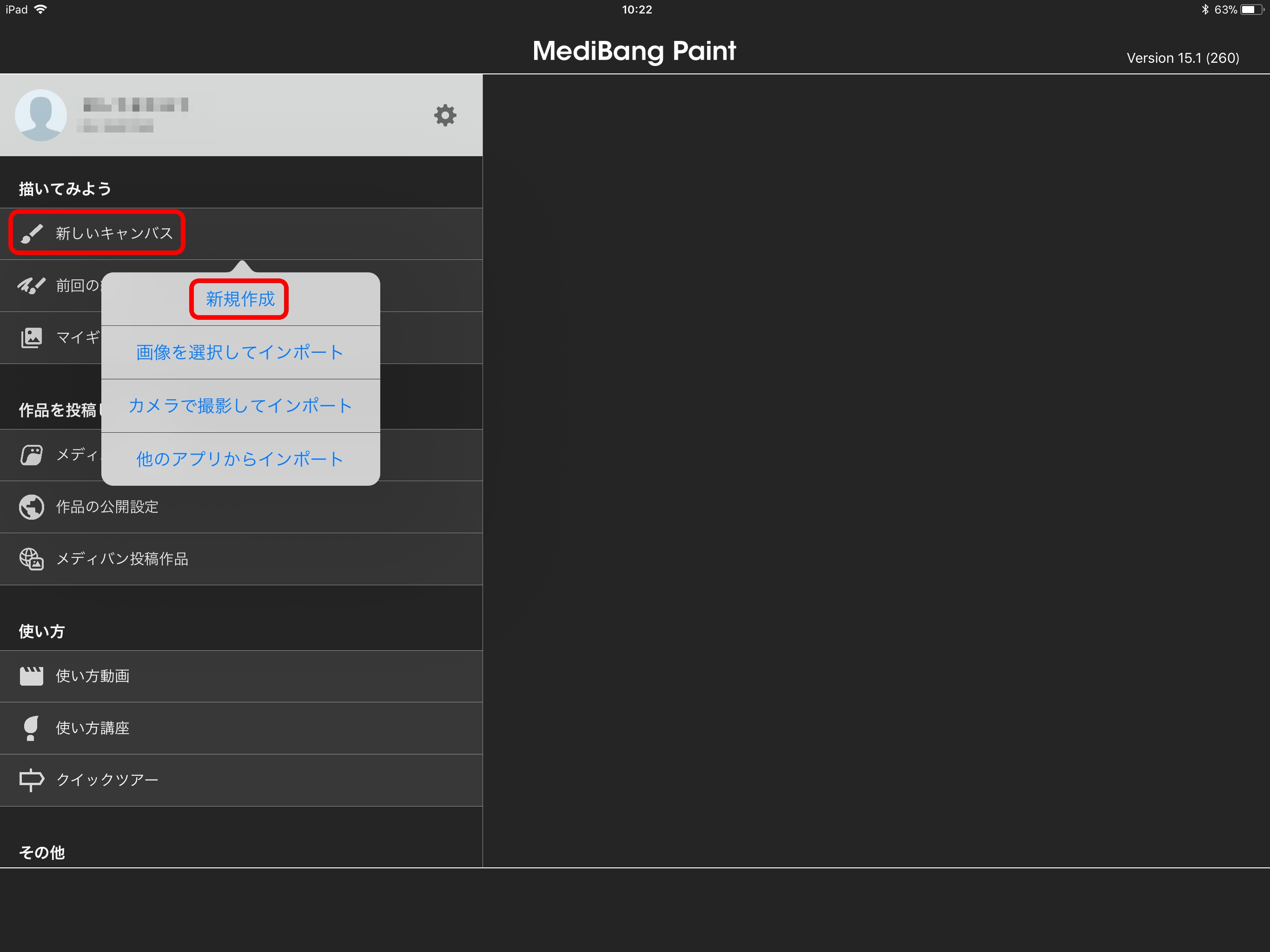 Selecting “New Canvas” from “New Canvas”
