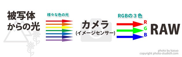 RAWができる仕組み