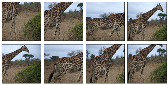 data augmentation output 12 0